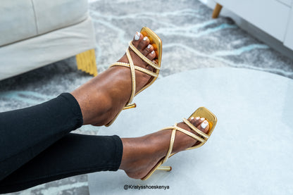 Cosmos Heelas